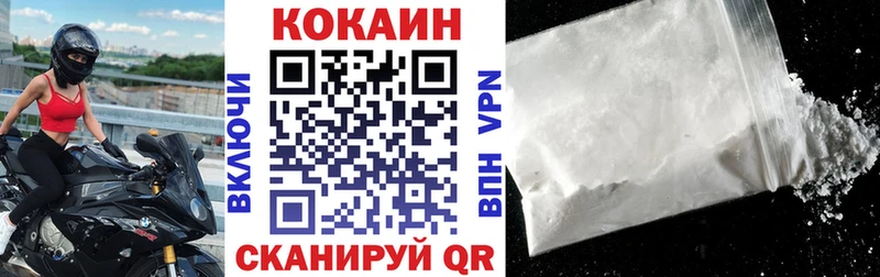 COCAIN Fish Scale  Чадан 