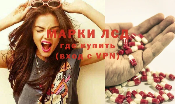 стаф Алзамай