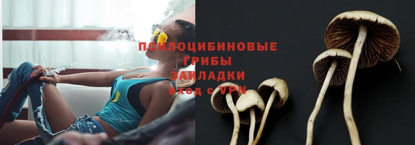 прущая мука Аркадак
